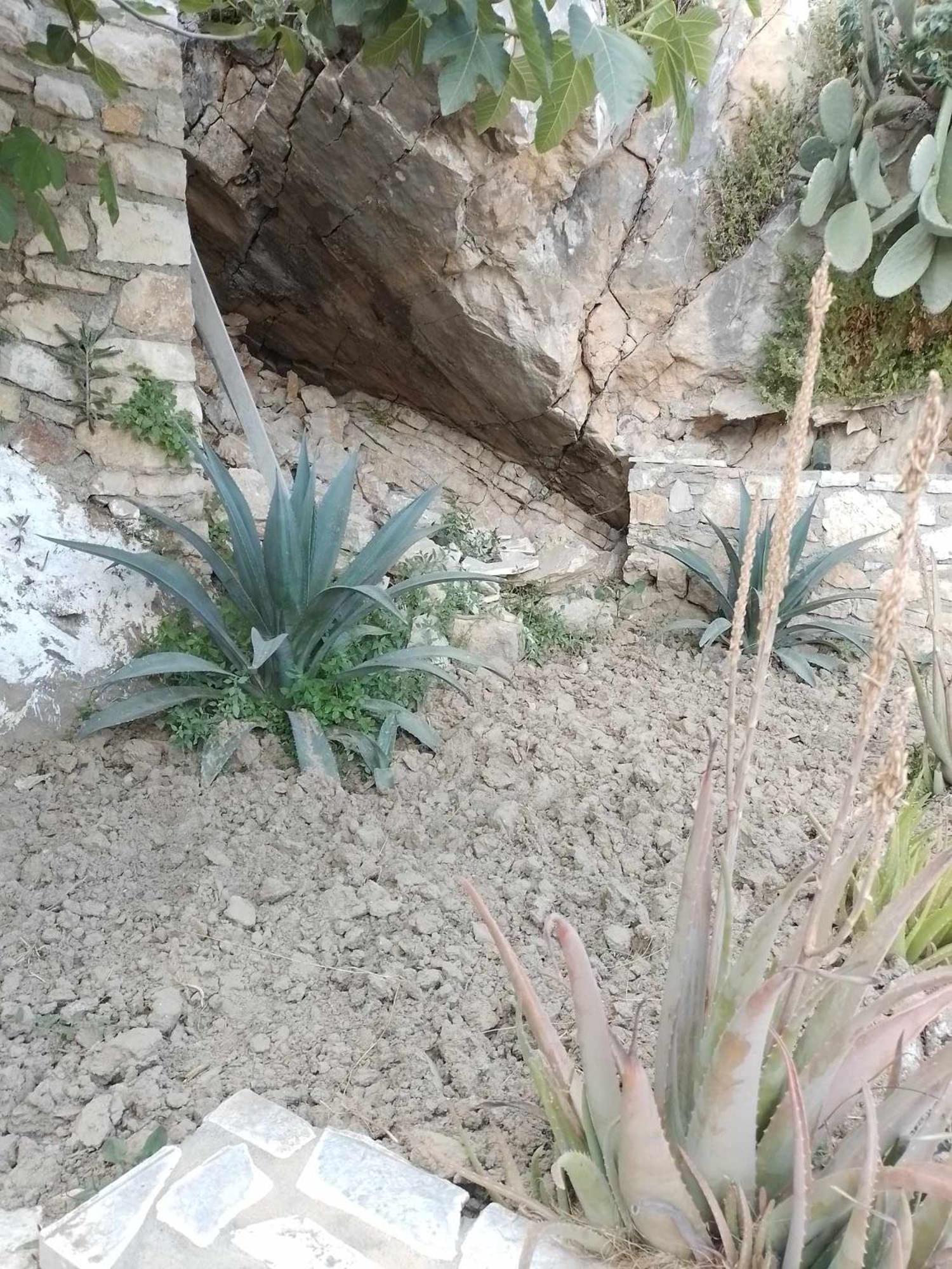Hotel Vogklis House Qeparo Zewnętrze zdjęcie